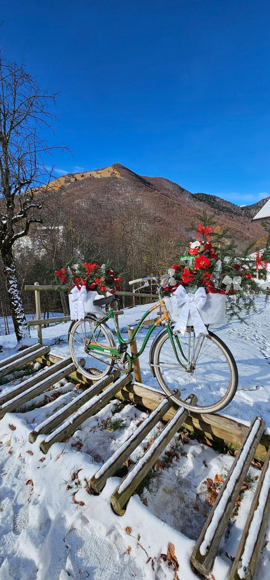 Rifugio Fornas Otel Tolmezzo Dış mekan fotoğraf
